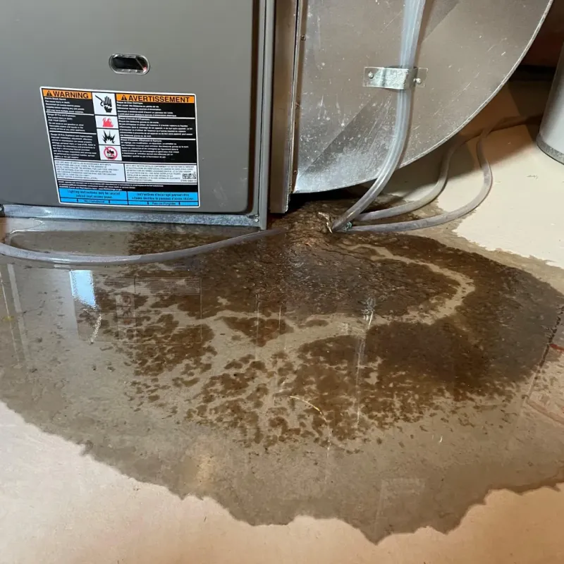 Appliance Leak Cleanup in Independence, OH